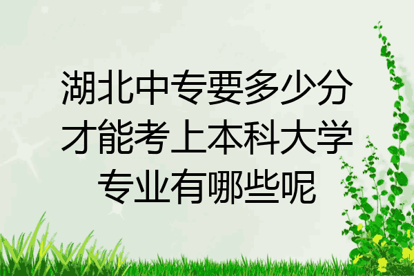 湖北中专要多少分才能考上本科大学专业有哪些呢