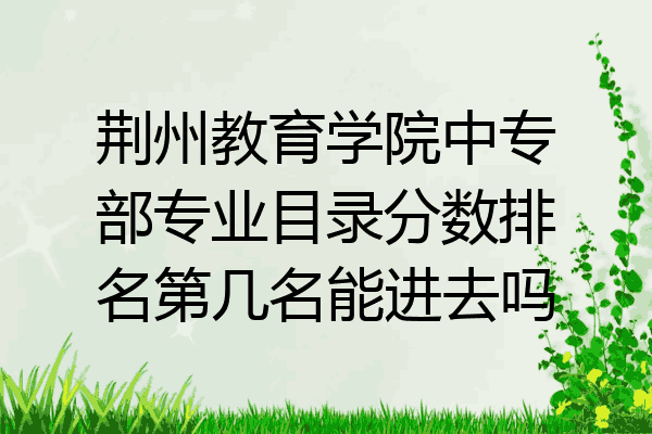 荆州教育学院中专部专业目录分数排名第几名能进去吗