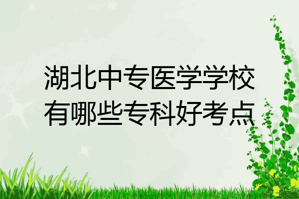 湖北中专医学学校有哪些专科好考点