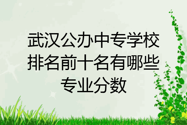 武汉公办中专学校排名前十名有哪些专业分数