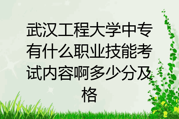 武汉工程大学中专有什么职业技能考试内容啊多少分及格
