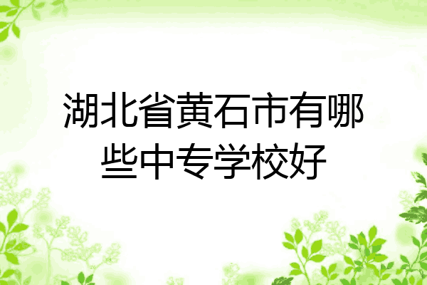 湖北省黄石市有哪些中专学校好