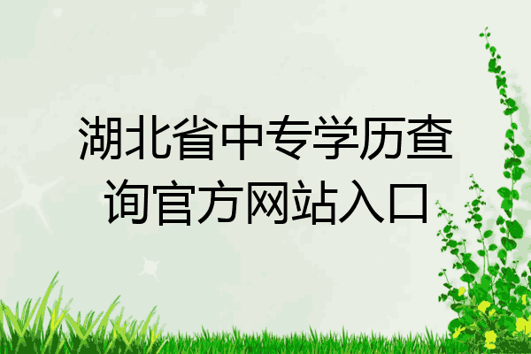 湖北省中专学历查询官方网站入口