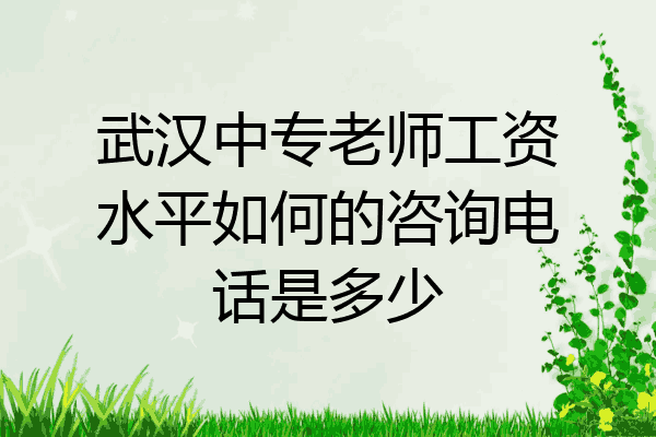 武汉中专老师工资水平如何的咨询电话是多少