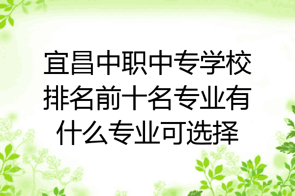 宜昌中职中专学校排名前十名专业有什么专业可选择