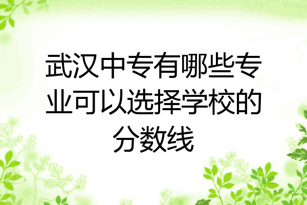 武汉中专有哪些专业可以选择学校的分数线