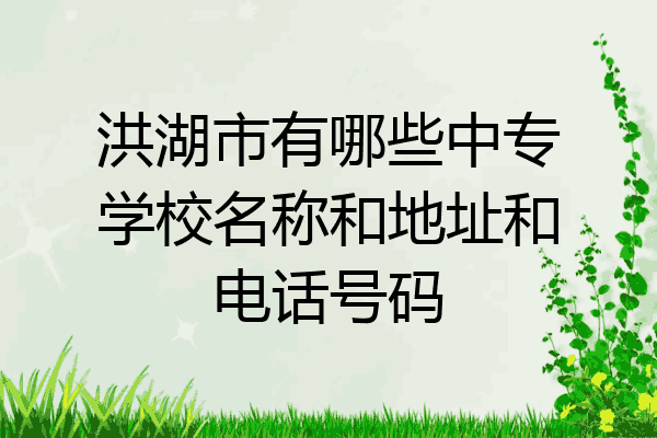 洪湖市有哪些中专学校名称和地址和电话号码