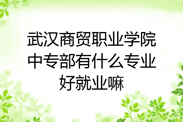 武汉商贸职业学院中专部有什么专业好就业嘛