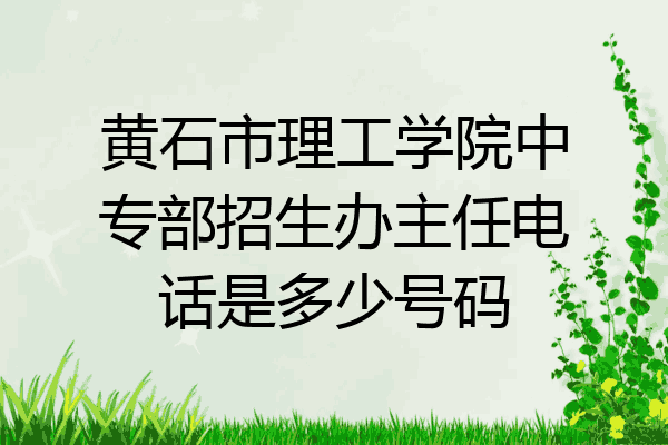 黄石市理工学院中专部招生办主任电话是多少号码