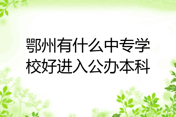 鄂州有什么中专学校好进入公办本科