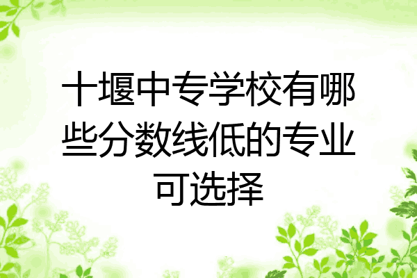 十堰中专学校有哪些分数线低的专业可选择