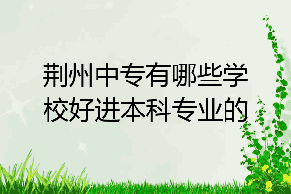 荆州中专有哪些学校好进本科专业的
