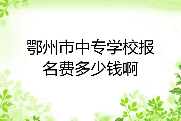 鄂州市中专学校报名费多少钱啊