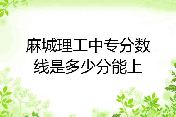 麻城理工中专分数线是多少分能上