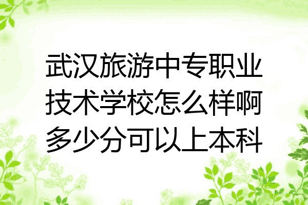 武汉旅游中专职业技术学校怎么样啊多少分可以上本科