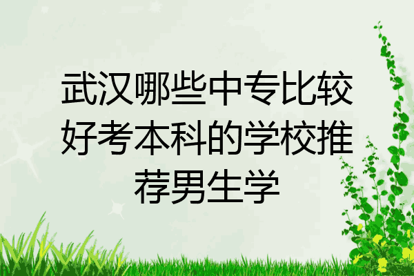 武汉哪些中专比较好考本科的学校推荐男生学