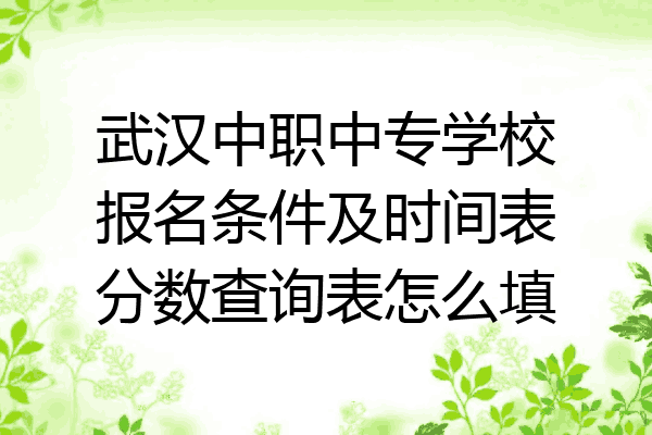 武汉中职中专学校报名条件及时间表分数查询表怎么填