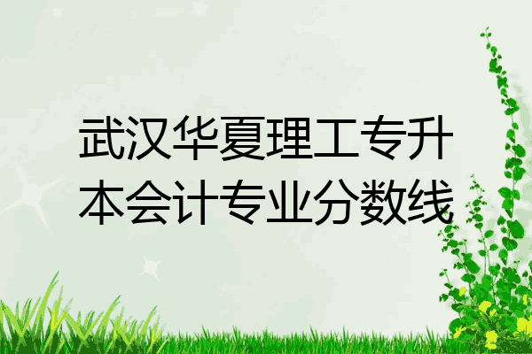 武汉华夏理工专升本会计专业分数线