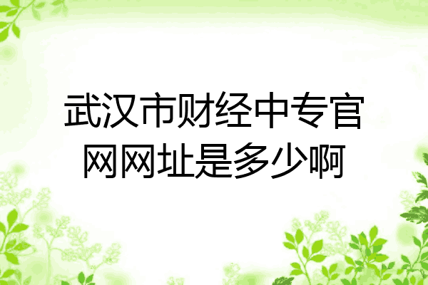 武汉市财经中专官网网址是多少啊
