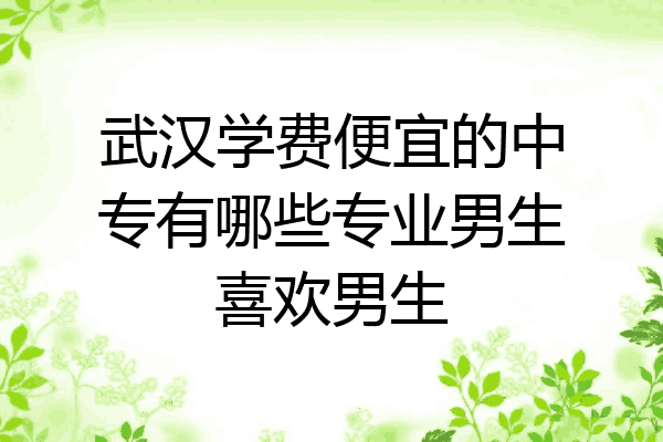 武汉学费便宜的中专有哪些专业男生喜欢男生