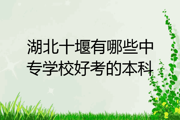 湖北十堰有哪些中专学校好考的本科