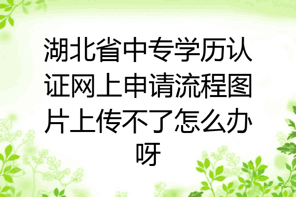 湖北省中专学历认证网上申请流程图片上传不了怎么办呀