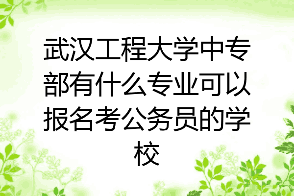 武汉工程大学中专部有什么专业可以报名考公务员的学校