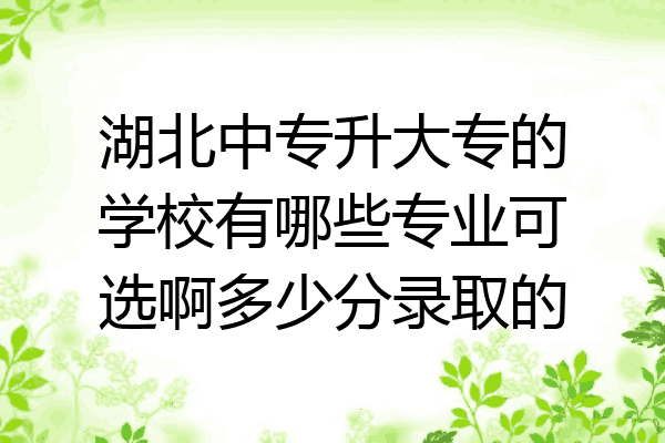 湖北中专升大专的学校有哪些专业可选啊多少分录取的