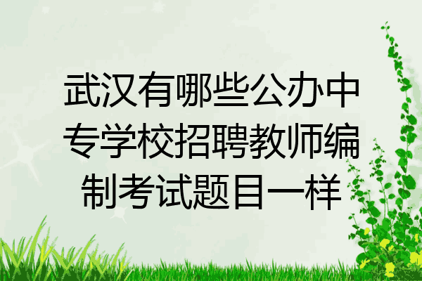 武汉有哪些公办中专学校招聘教师编制考试题目一样