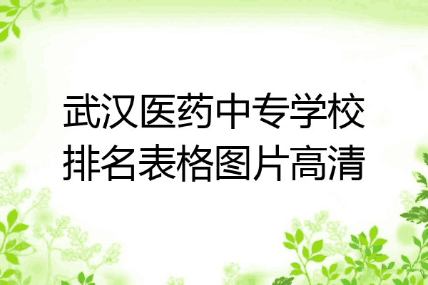 武汉医药中专学校排名表格图片高清