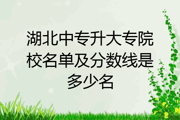 湖北中专升大专院校名单及分数线是多少名