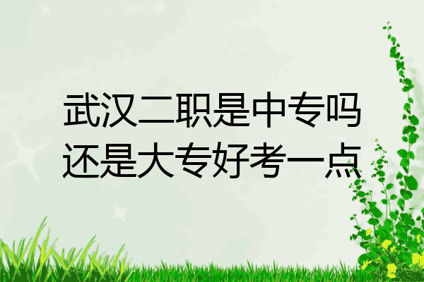 武汉二职是中专吗还是大专好考一点