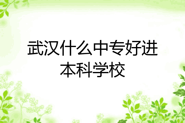 武汉什么中专好进本科学校