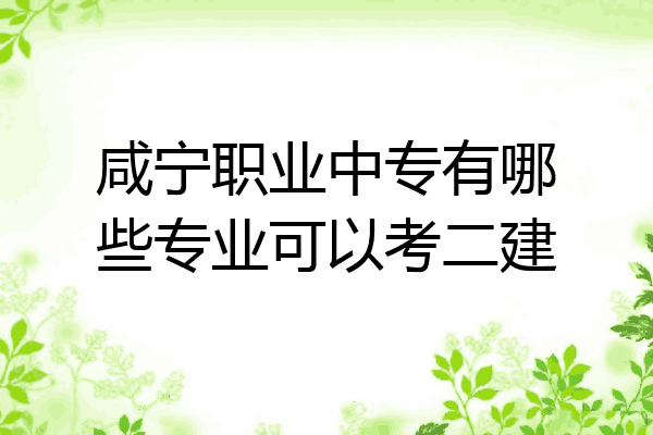 咸宁职业中专有哪些专业可以考二建