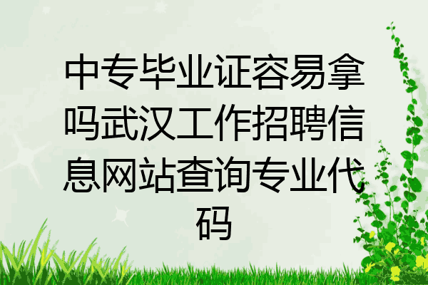 中专毕业证容易拿吗武汉工作招聘信息网站查询专业代码