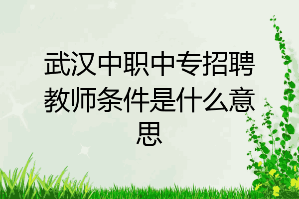 武汉中职中专招聘教师条件是什么意思