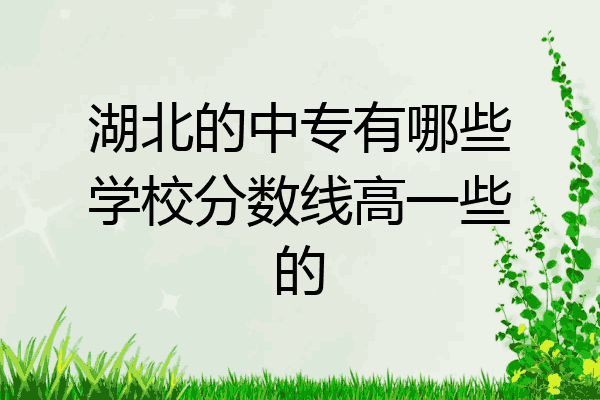 湖北的中专有哪些学校分数线高一些的