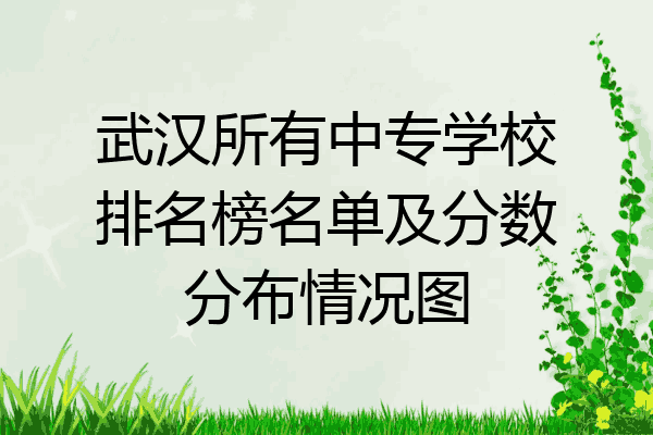 武汉所有中专学校排名榜名单及分数分布情况图