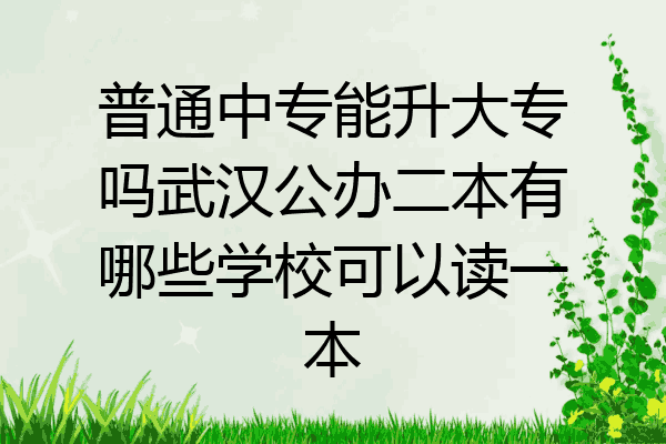 普通中专能升大专吗武汉公办二本有哪些学校可以读一本
