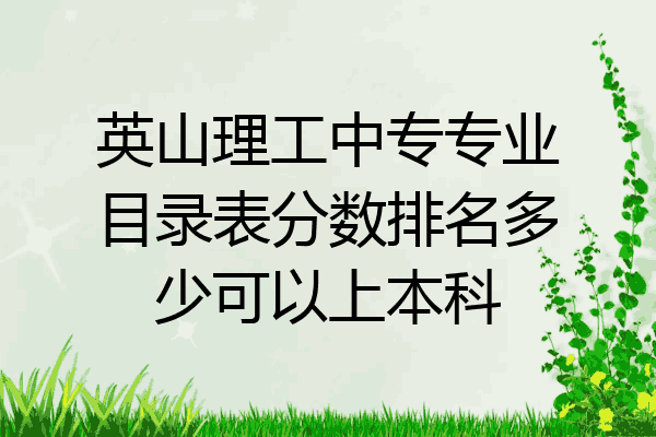 英山理工中专专业目录表分数排名多少可以上本科