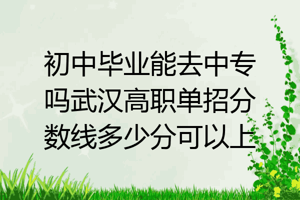 初中毕业能去中专吗武汉高职单招分数线多少分可以上