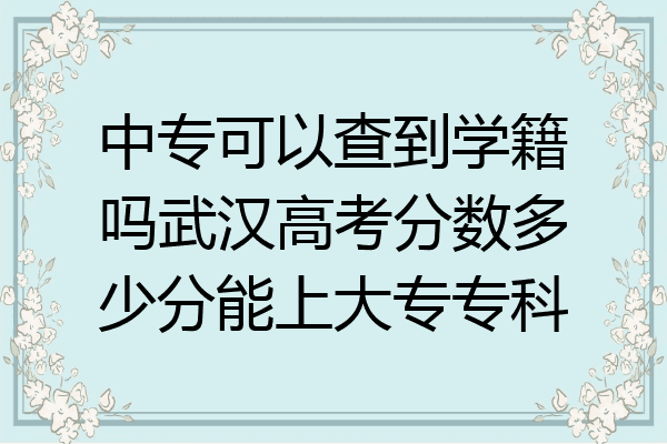 中专可以查到学籍吗武汉高考分数多少分能上大专专科