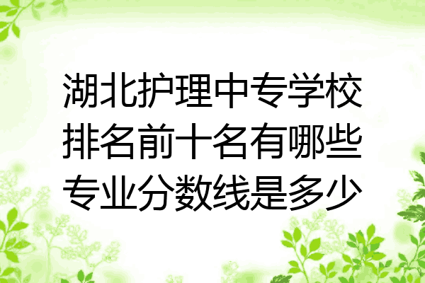 湖北护理中专学校排名前十名有哪些专业分数线是多少