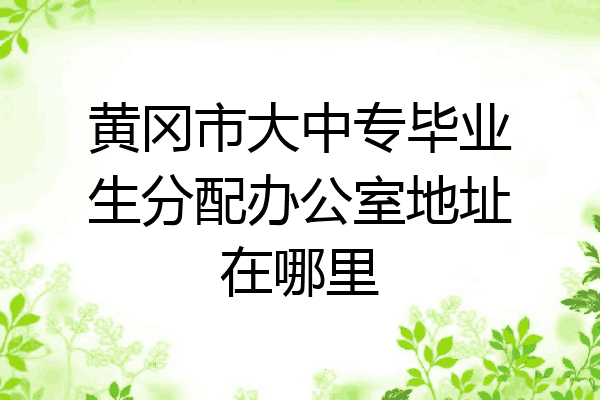 黄冈市大中专毕业生分配办公室地址在哪里