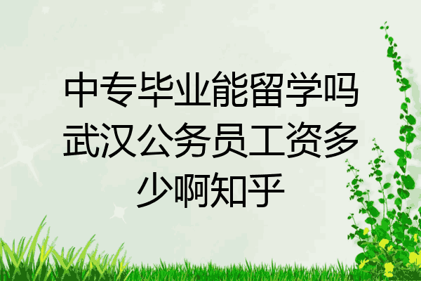 中专毕业能留学吗武汉公务员工资多少啊知乎