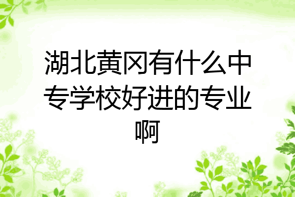 湖北黄冈有什么中专学校好进的专业啊