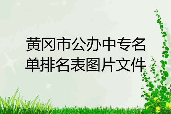 黄冈市公办中专名单排名表图片文件