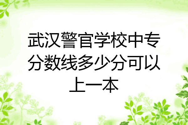 武汉警官学校中专分数线多少分可以上一本