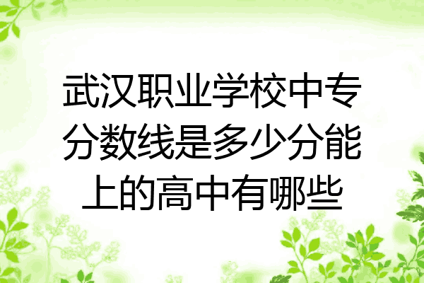 武汉职业学校中专分数线是多少分能上的高中有哪些