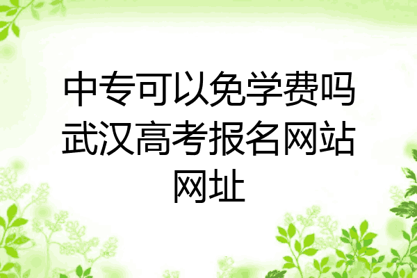 中专可以免学费吗武汉高考报名网站网址